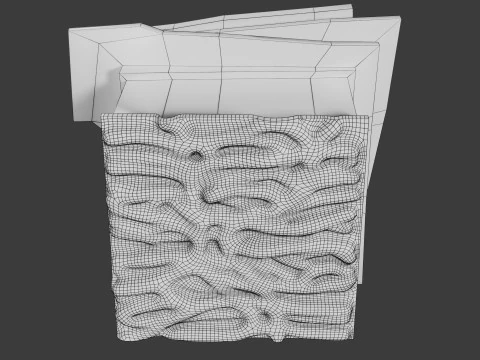 Heart Cardiac Wall Layers 3D Model