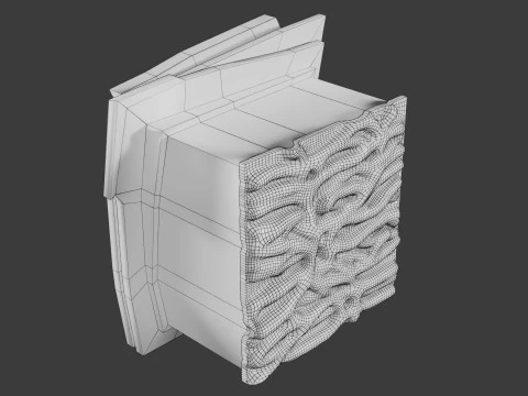 Heart Cardiac Wall Layers 3D Model