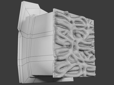 Heart Cardiac Wall Layers 3D Model