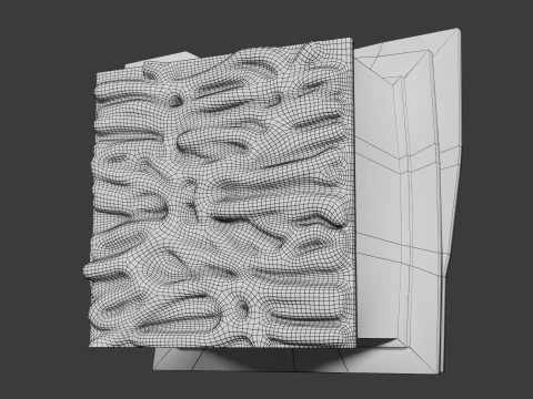 Heart Cardiac Wall Layers 3D Model