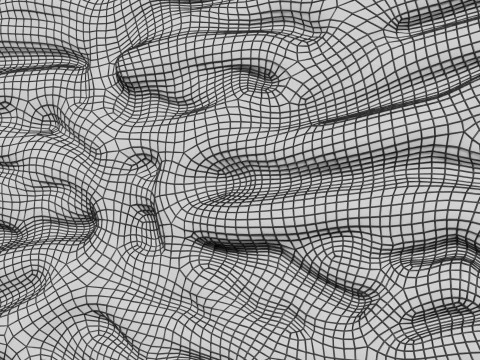 Heart Cardiac Wall Layers 3D Model