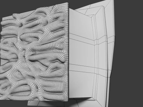 Heart Cardiac Wall Layers 3D Model