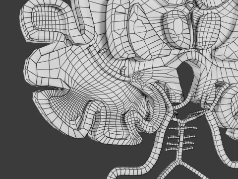 Stroke brain infarct hemorrhage types 3D 모델