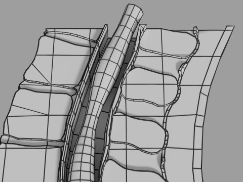Lower Back Longitudinal section anatomy 3D Model