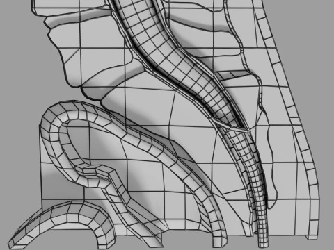 Lower Back Longitudinal section anatomy 3D Model