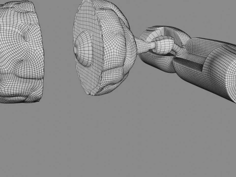 Peripheral nervous system glial cells myelination 3D Model
