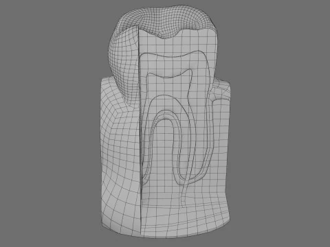 Teeth schematic cut sectional labelled 3D Model