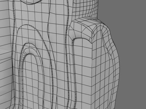 Teeth schematic cut sectional labelled 3D Model