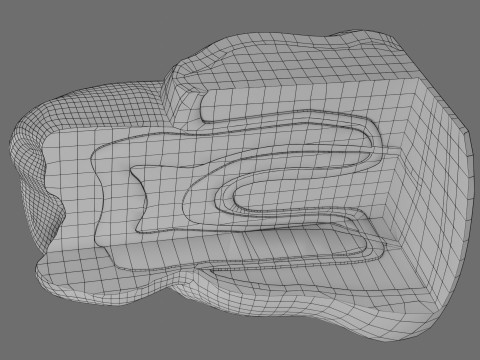 Teeth schematic cut sectional labelled 3D Model