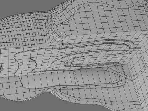 Teeth schematic cut sectional labelled 3D Model