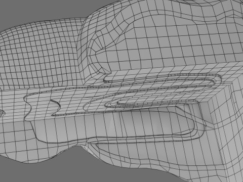 Teeth schematic cut sectional labelled 3D Model