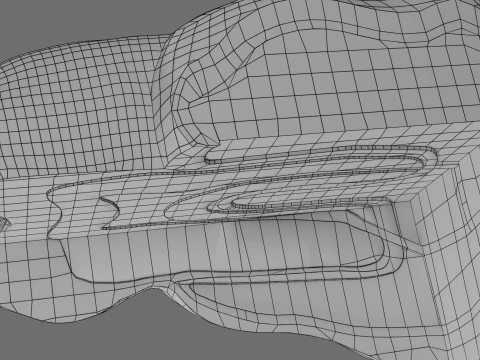 Teeth schematic cut sectional labelled 3D Model