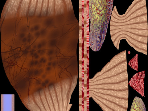 Volvulus intestine obstruction 3D Модель