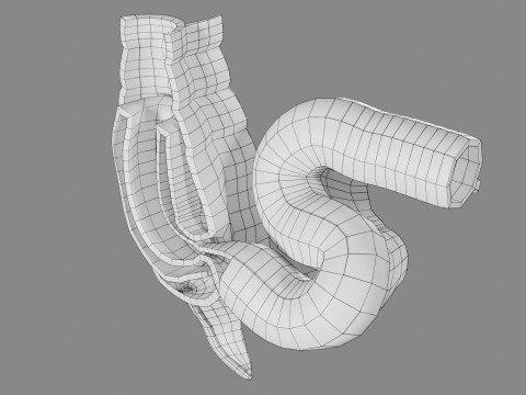 Intussusception intestine ileocolic obstruction 3D Модель