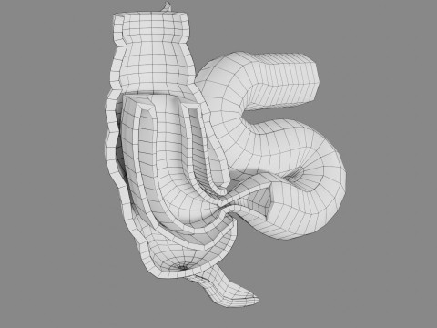 Intussusception intestine ileocolic obstruction 3D Модель