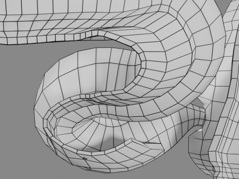 Intussusception intestine ileocolic obstruction 3D Модель