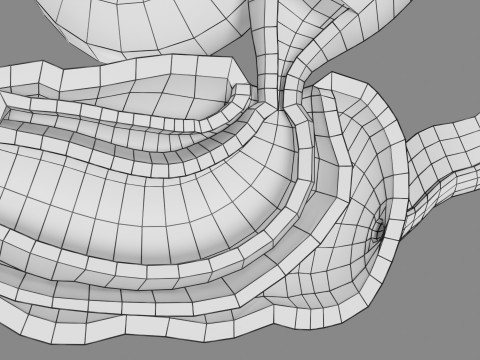 Intussusception intestine ileocolic obstruction 3D Модель