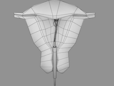 Endometrial Polyp Electrocautery Modello 3D