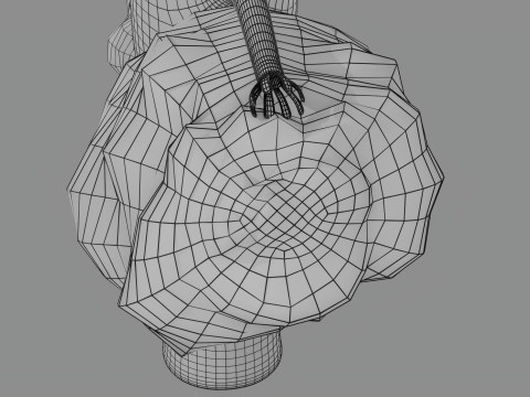 Krukenberg ovarian cancer tumor Modelo 3D