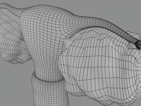 Krukenberg ovarian cancer tumor Modelo 3D