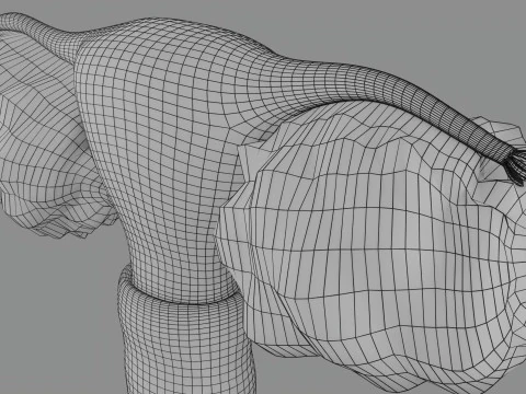 Krukenberg ovarian cancer tumor 3D Model