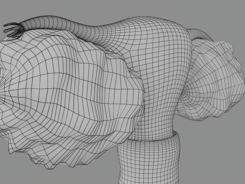 Krukenberg ovarian cancer tumor Modelo 3D