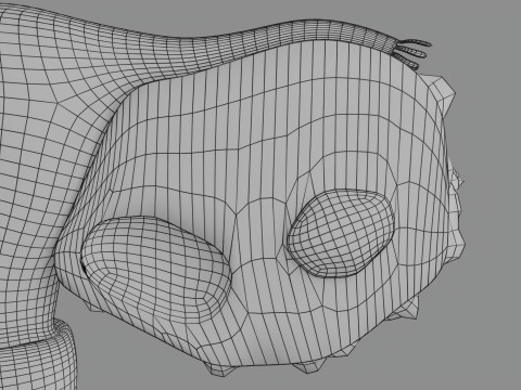 Krukenberg ovarian cancer tumor Modelo 3D