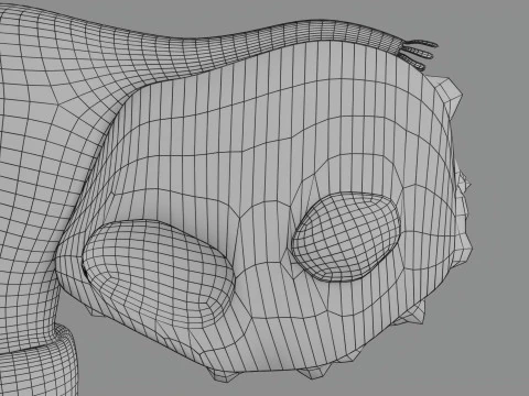 Krukenberg ovarian cancer tumor 3D Model