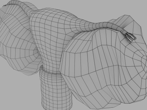 Ovary tumor benign non-cancerous serous cystadenoma Modèle 3D