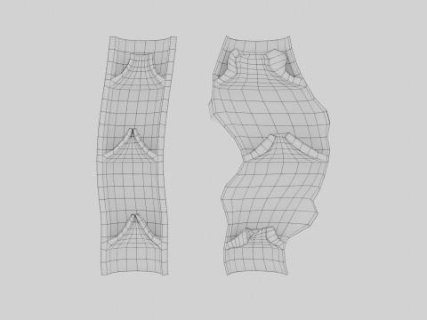 Krampfaderklappe 3D Modell