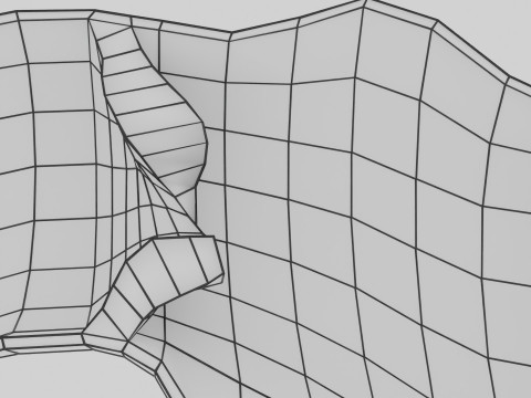 Krampfaderklappe 3D Modell