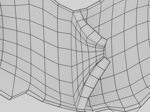 Krampfaderklappe 3D Modell