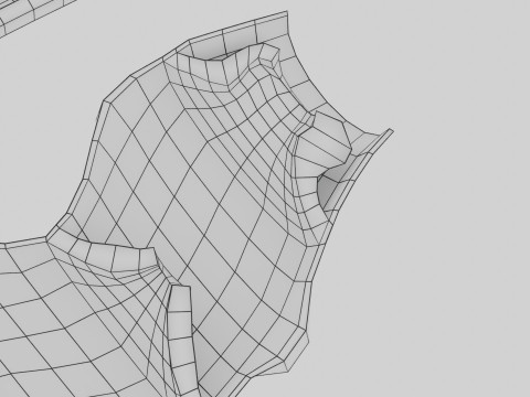 Krampfaderklappe 3D Modell