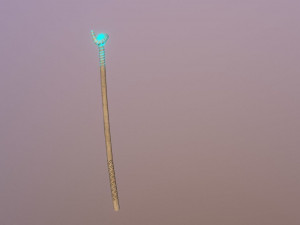 medieval magic staff 3Dモデル