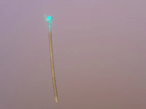 중세의 마술 지팡이 3D 모델