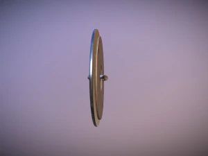 round shield 3D Model
