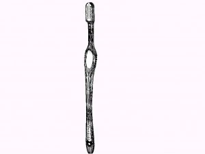realistic tooth brush 3D Model