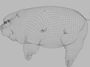 pig Modello 3D