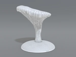 mushroom 3D Print Model