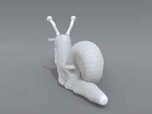 snail 3D Print Model