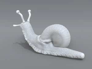 snail 3D Print Model