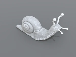 snail 3D Print Model