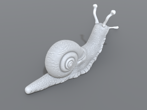 snail Model do druku 3D