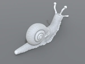 snail 3D Print Model