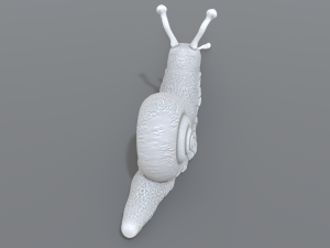 snail Model do druku 3D