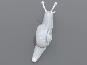 snail 3D Print Model
