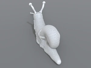 snail 3D Print Model