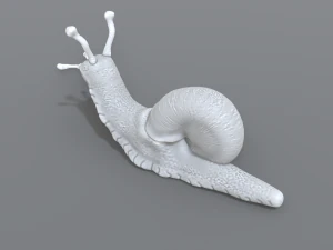 snail 3D Print Model