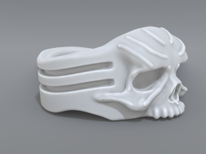 ring scull 3D 프린트 모델