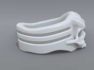 ring scull 3D 프린트 모델